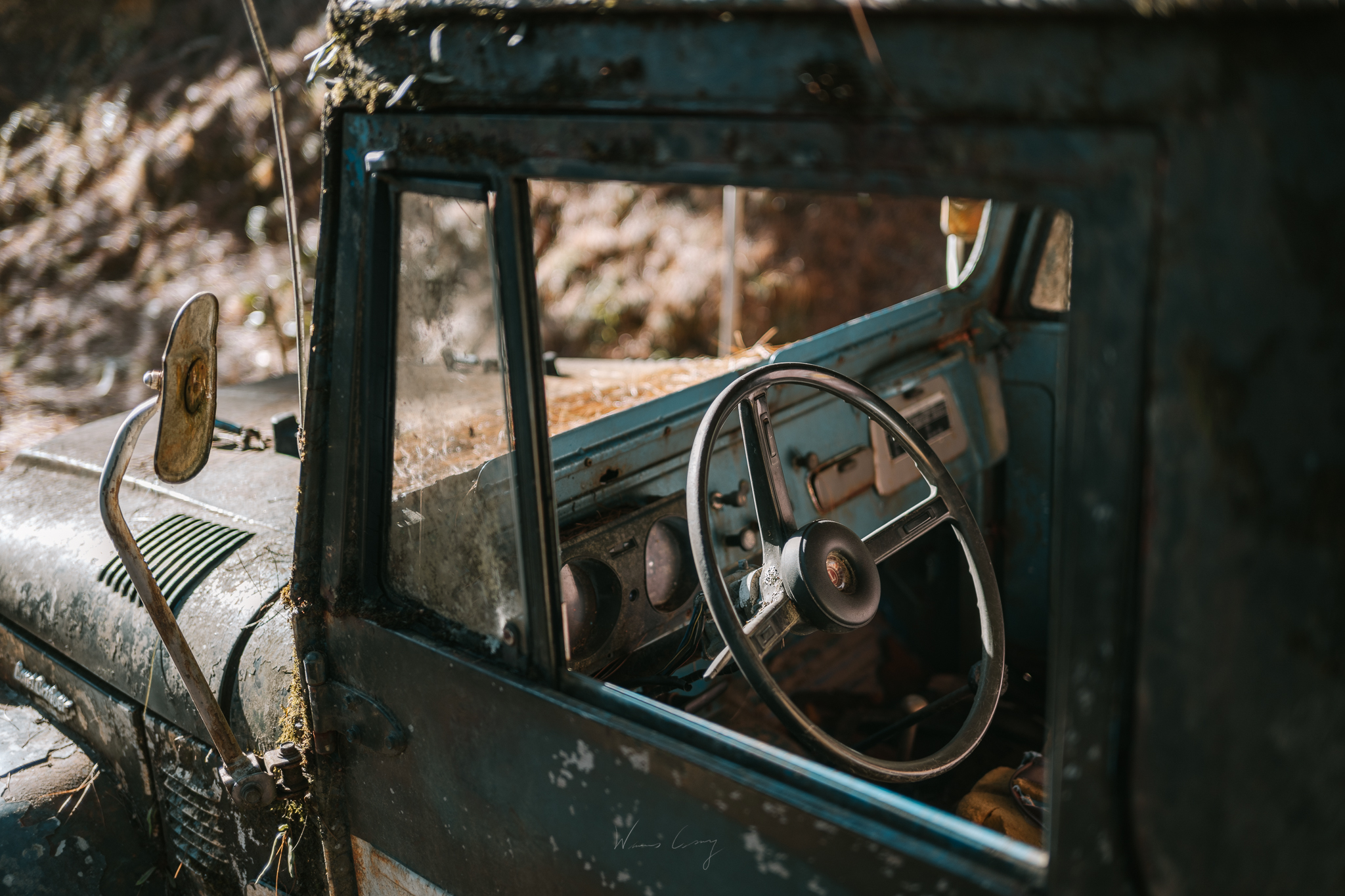 龍貓公車修正後