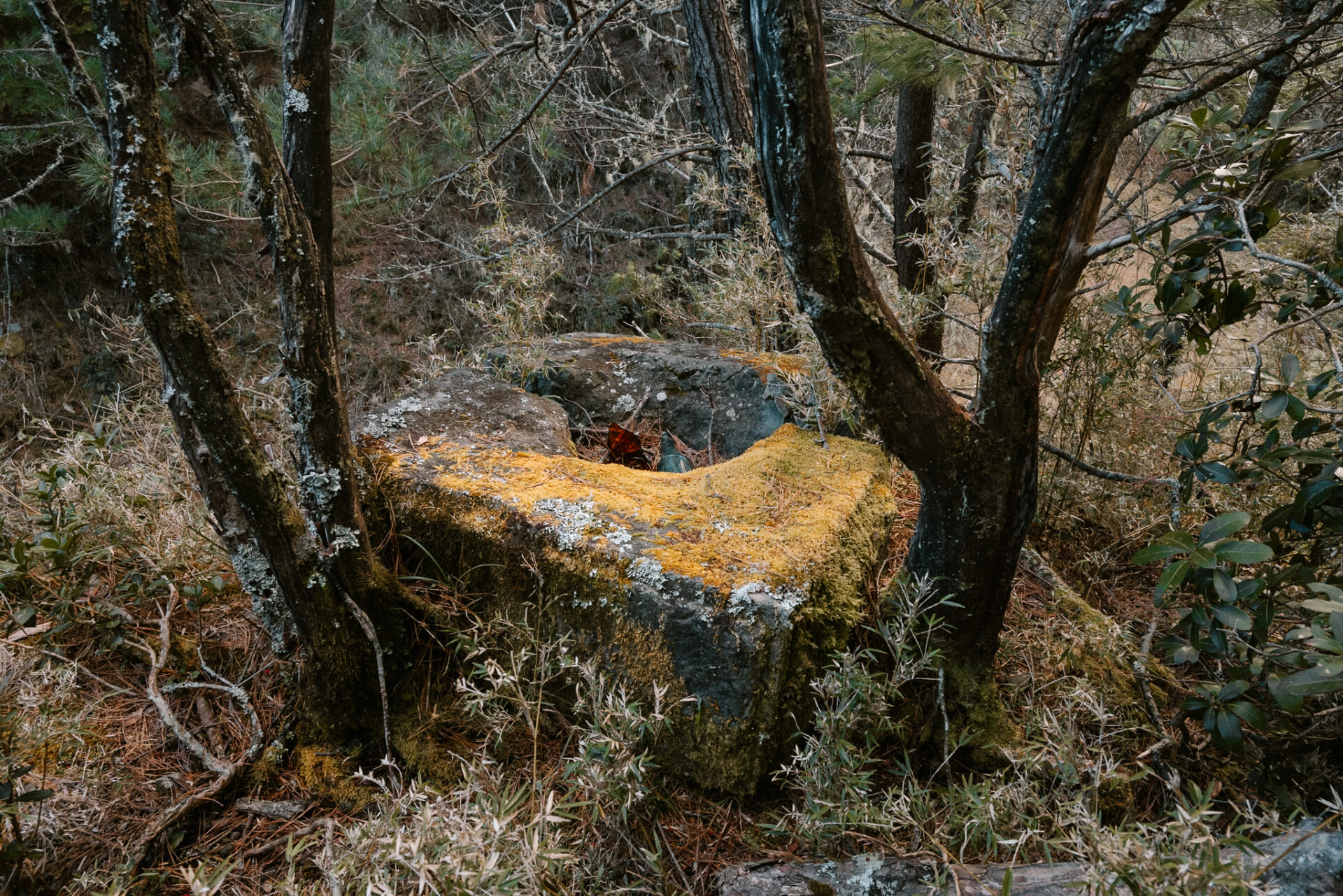 新高登山道開鑿之碑造訪紀錄 by 旅行攝影師張威廉 Wilhelm Chang